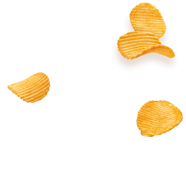 Assets Frikandel Speciaal 